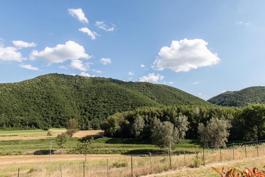 Il Colombaio Agriturismo Montegabbione Bagian luar foto