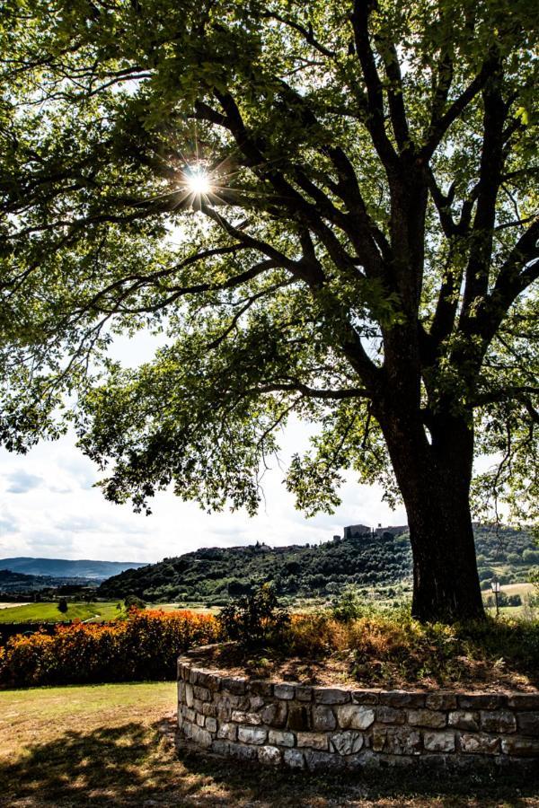 Il Colombaio Agriturismo Montegabbione Bagian luar foto